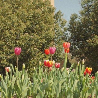 凯时ag旗舰厅-登录入口